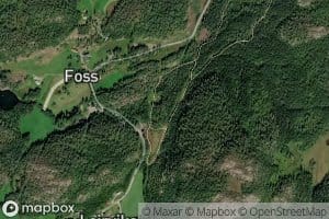Fosselva