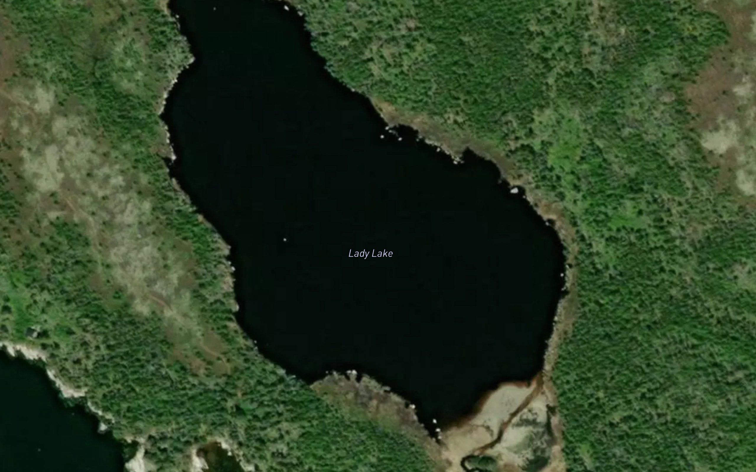 Lady Lake