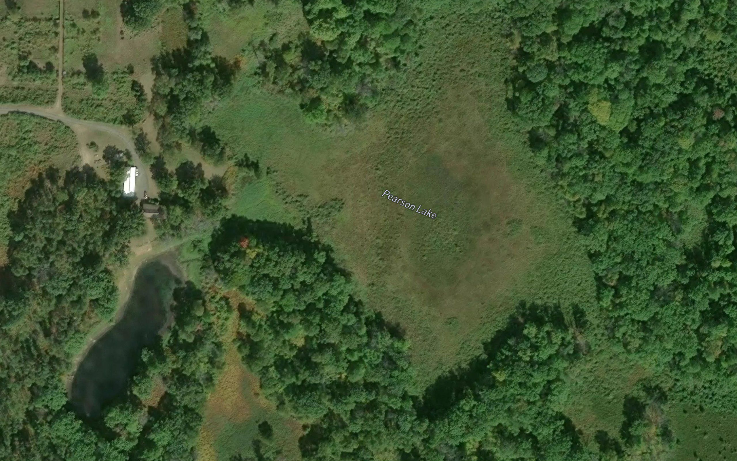 Pearson Lake