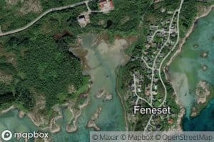 Fenesosen