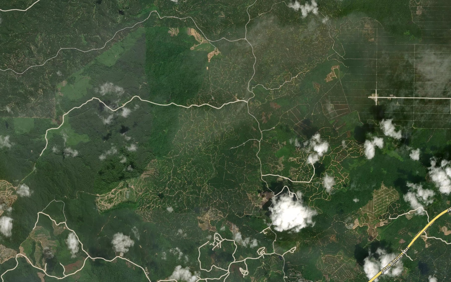 Satellite map of the Sungai Timong
