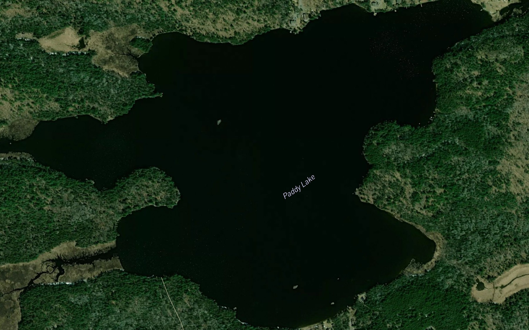 Satellite map of the Paddy Lake