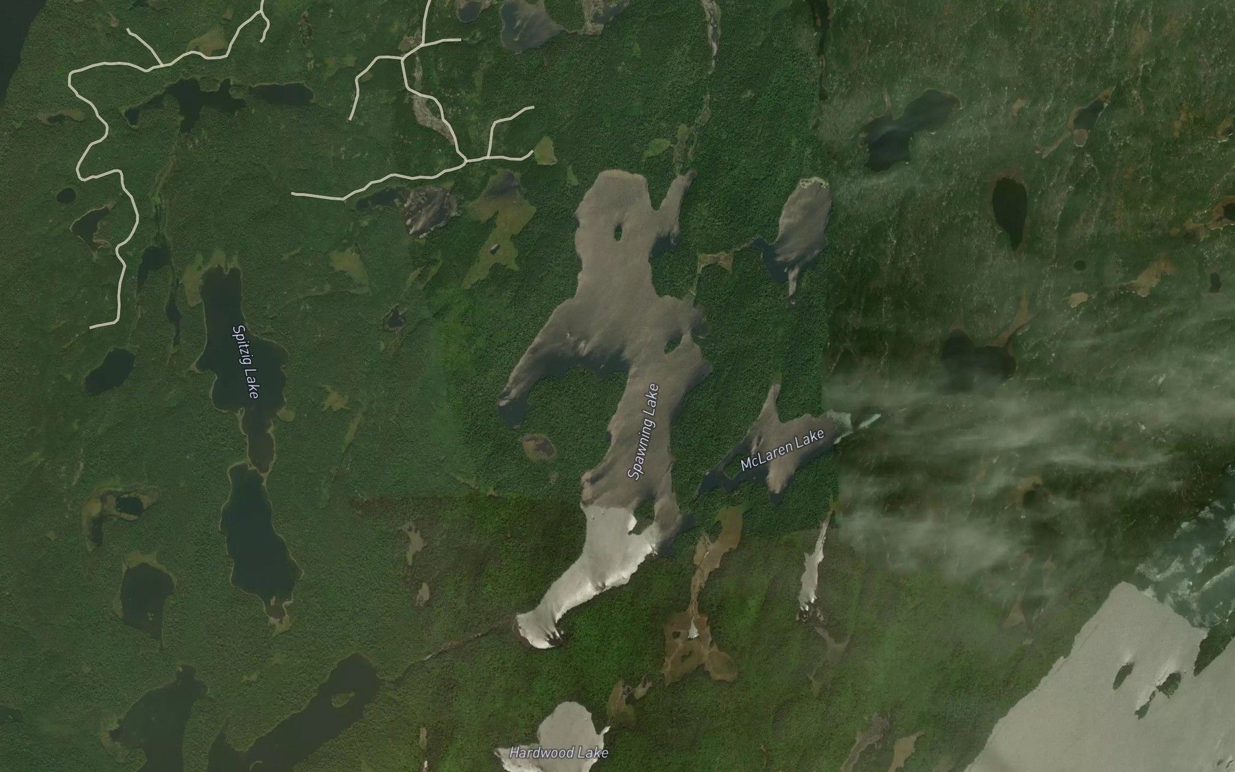 Satellite map of the Spawning Lake