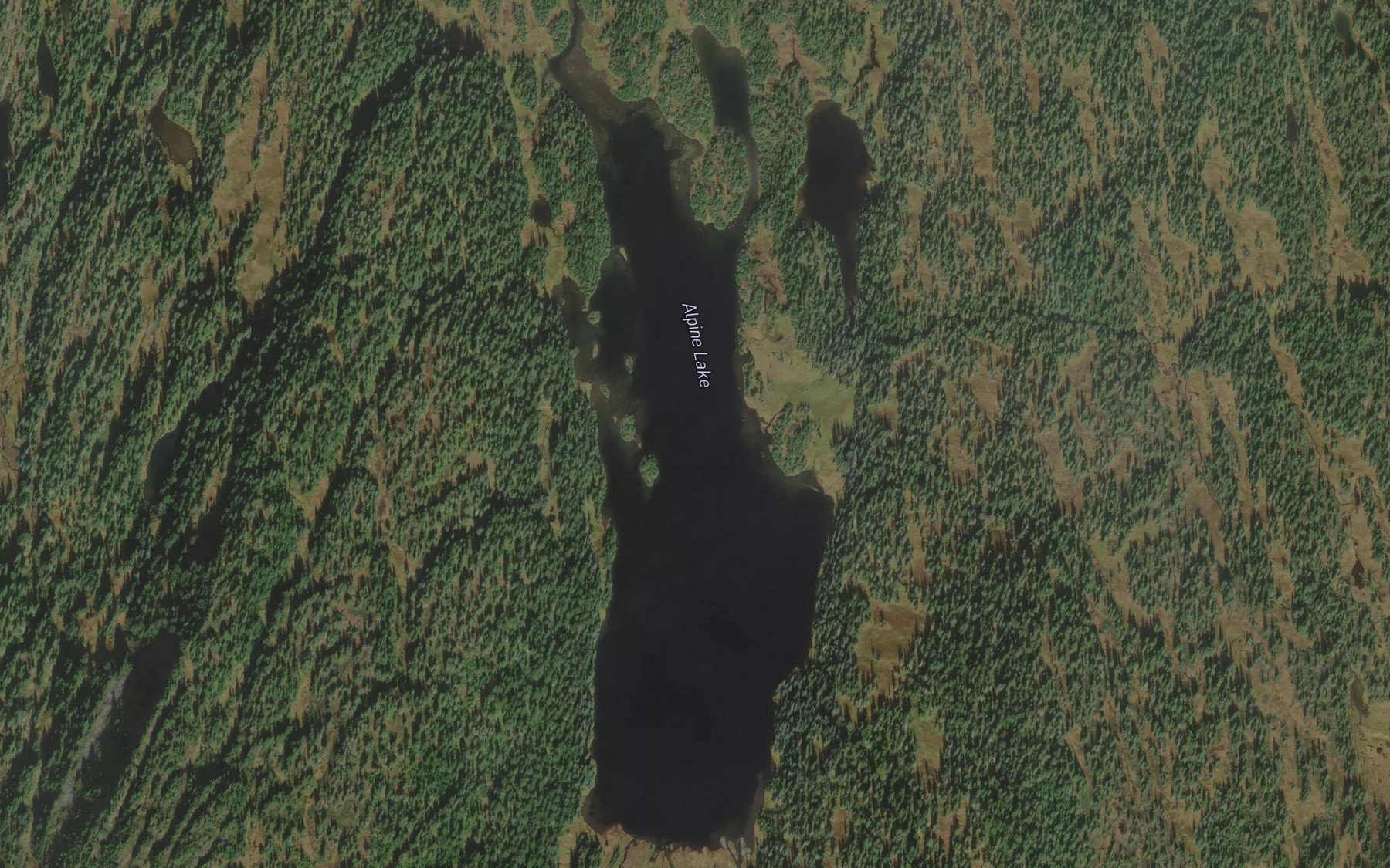Satellite map of the Alpine Lake