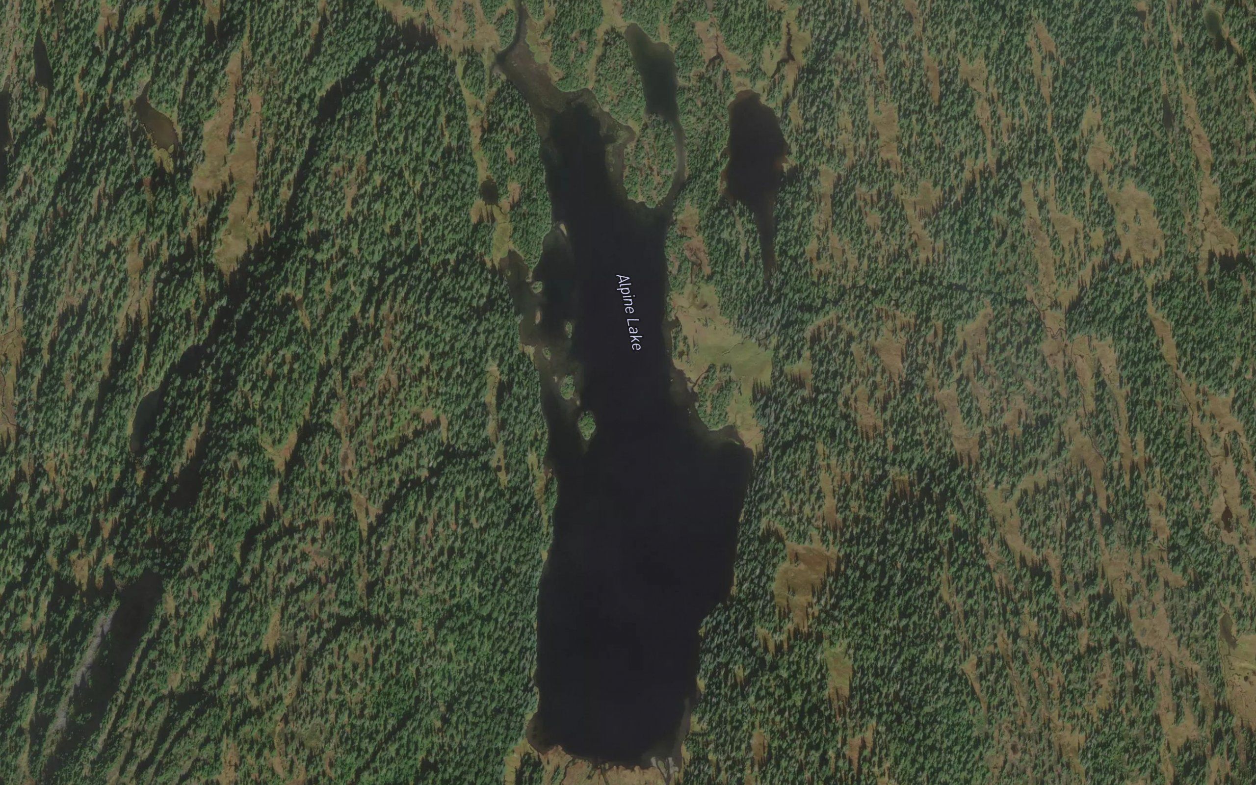 Alpine Lake