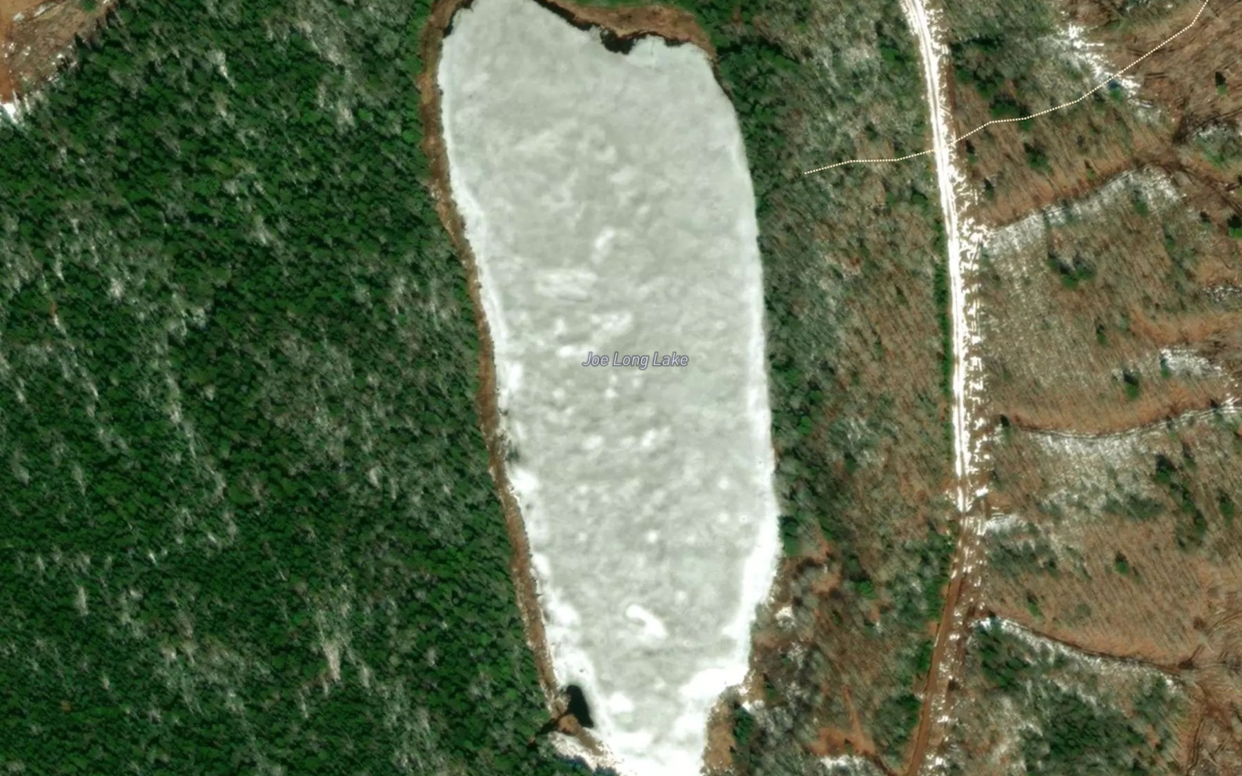Satellite map of the Joe Long Lake