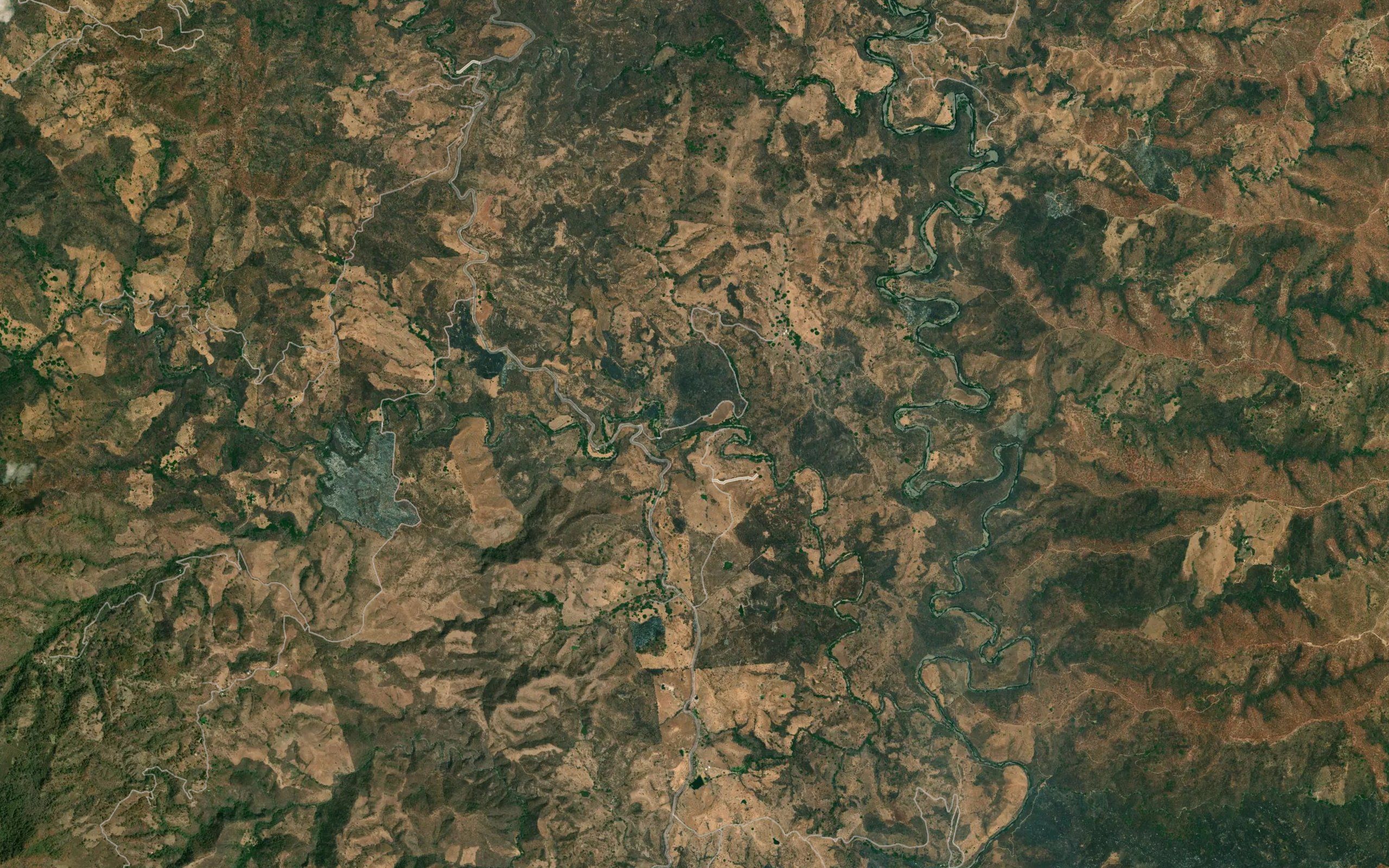 Palo Quemado