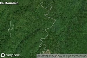 Witts Pond (historical)