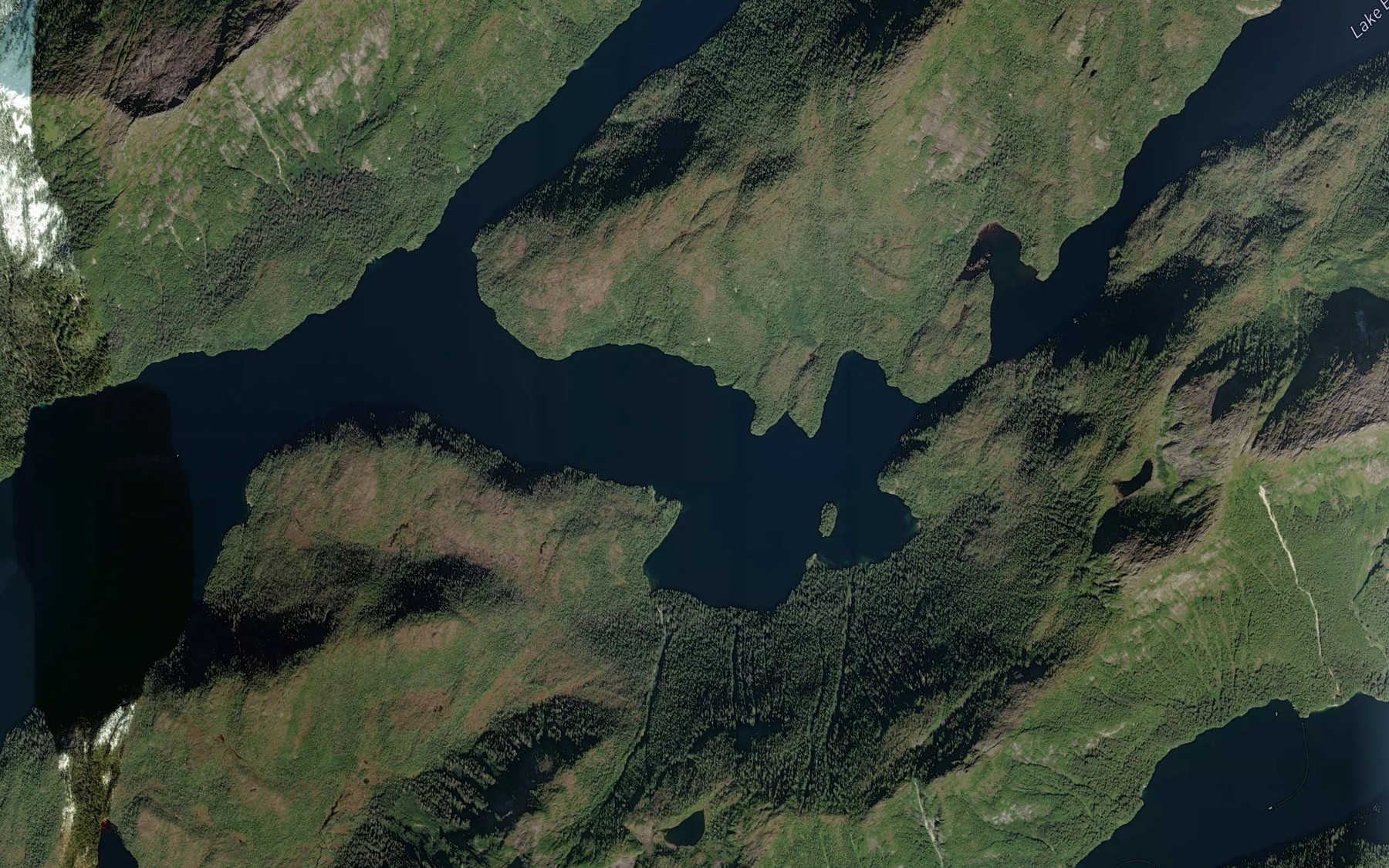 Satellite map of the Shamrock Bay