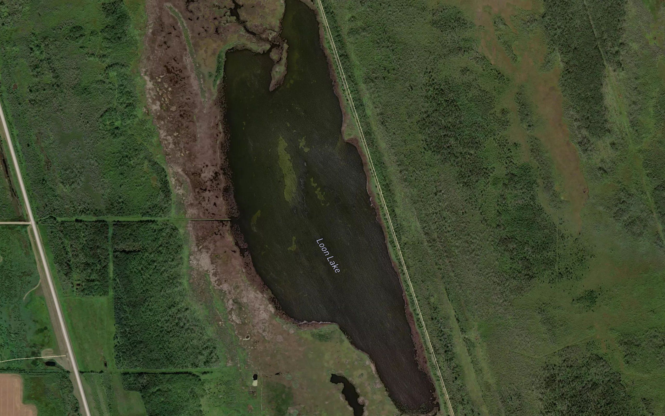 Loon Lake