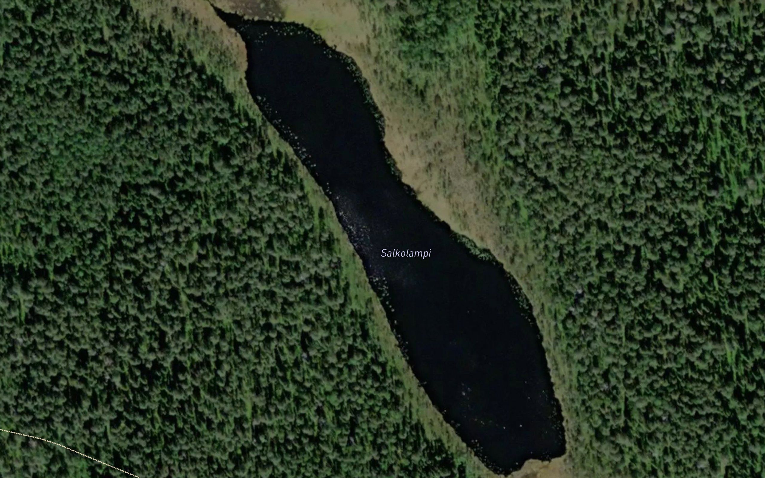 Salkolampi