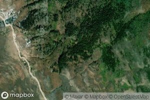 Pine Corral Spring