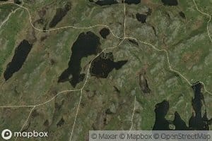 Flaetjern
