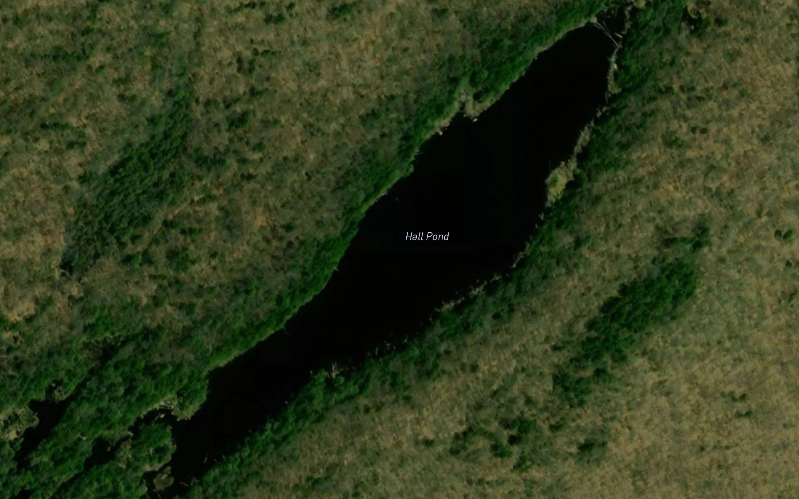 Hall Pond