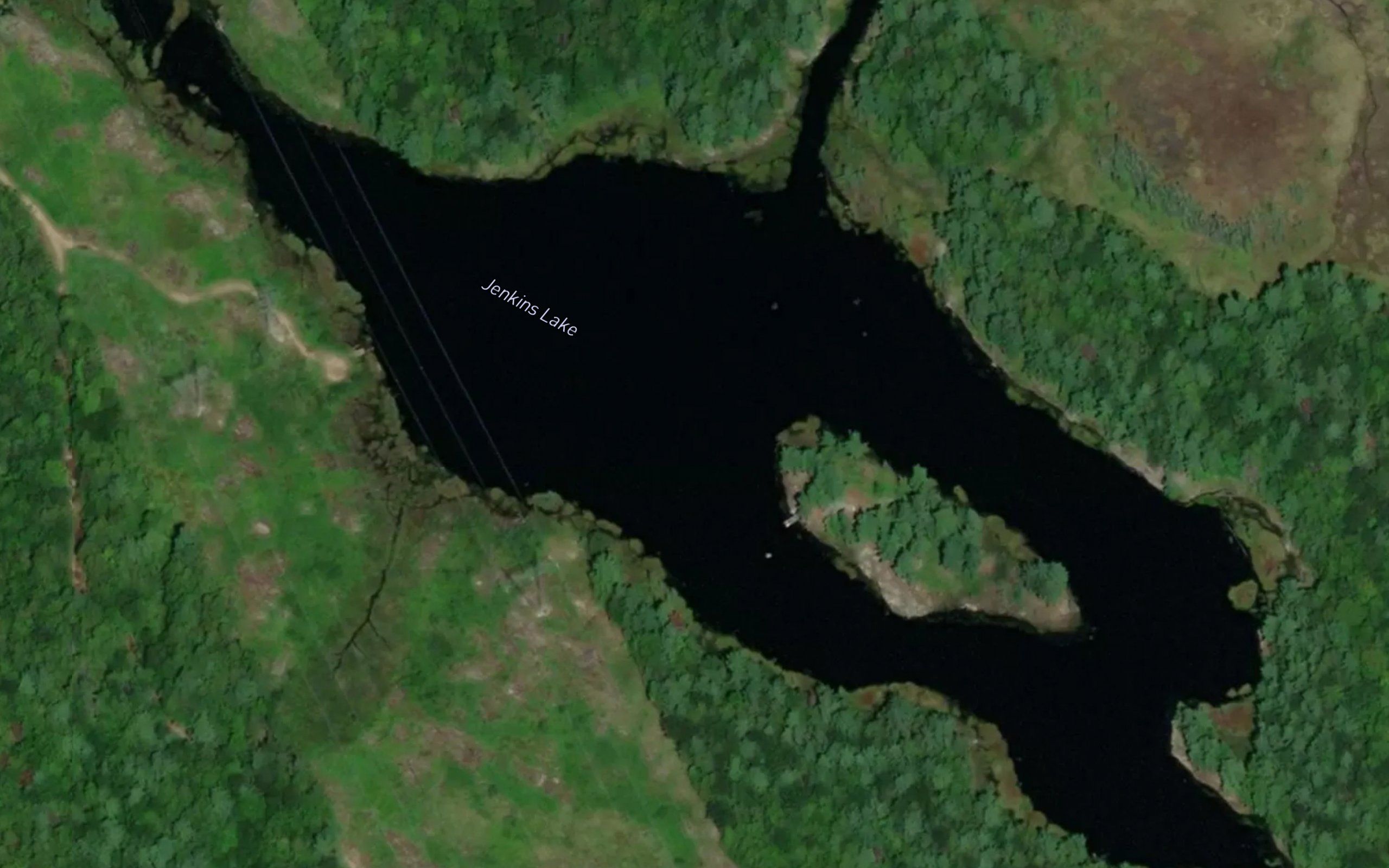 Jenkins Lake