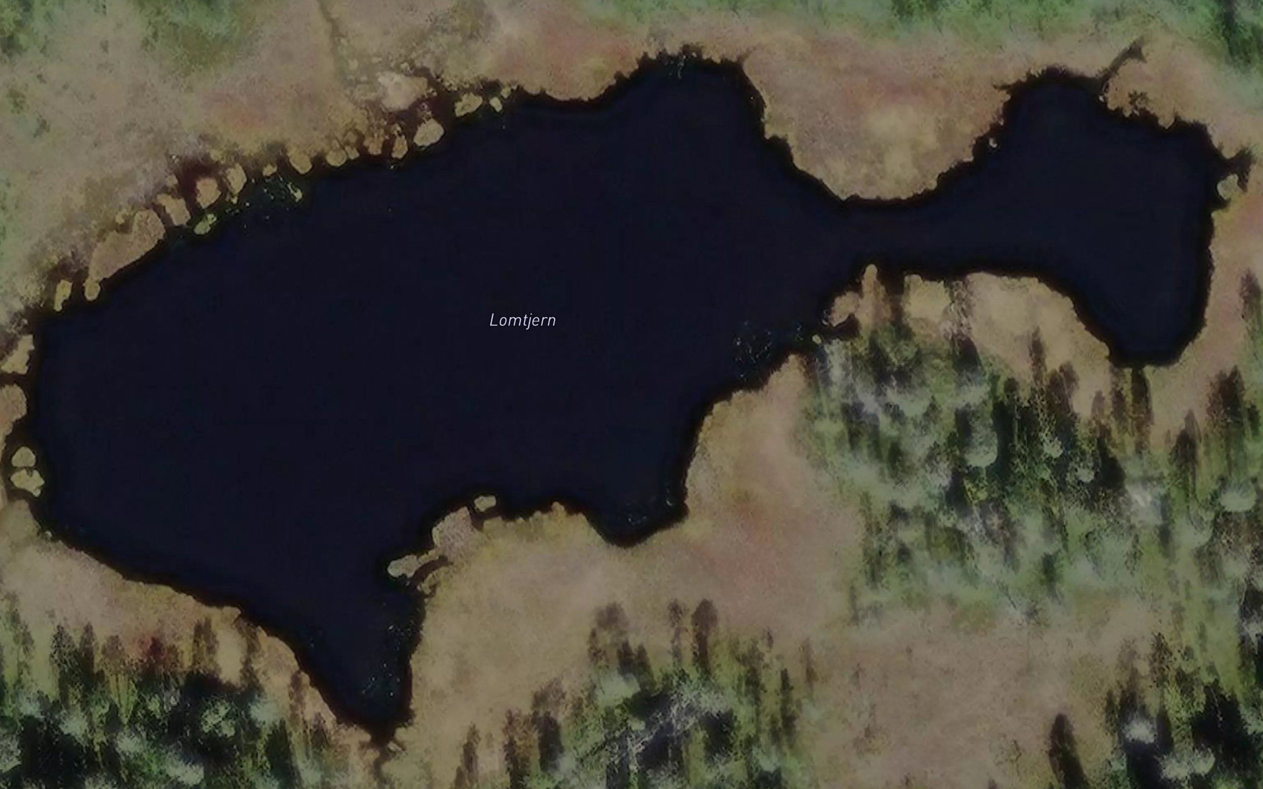 Lomtjern