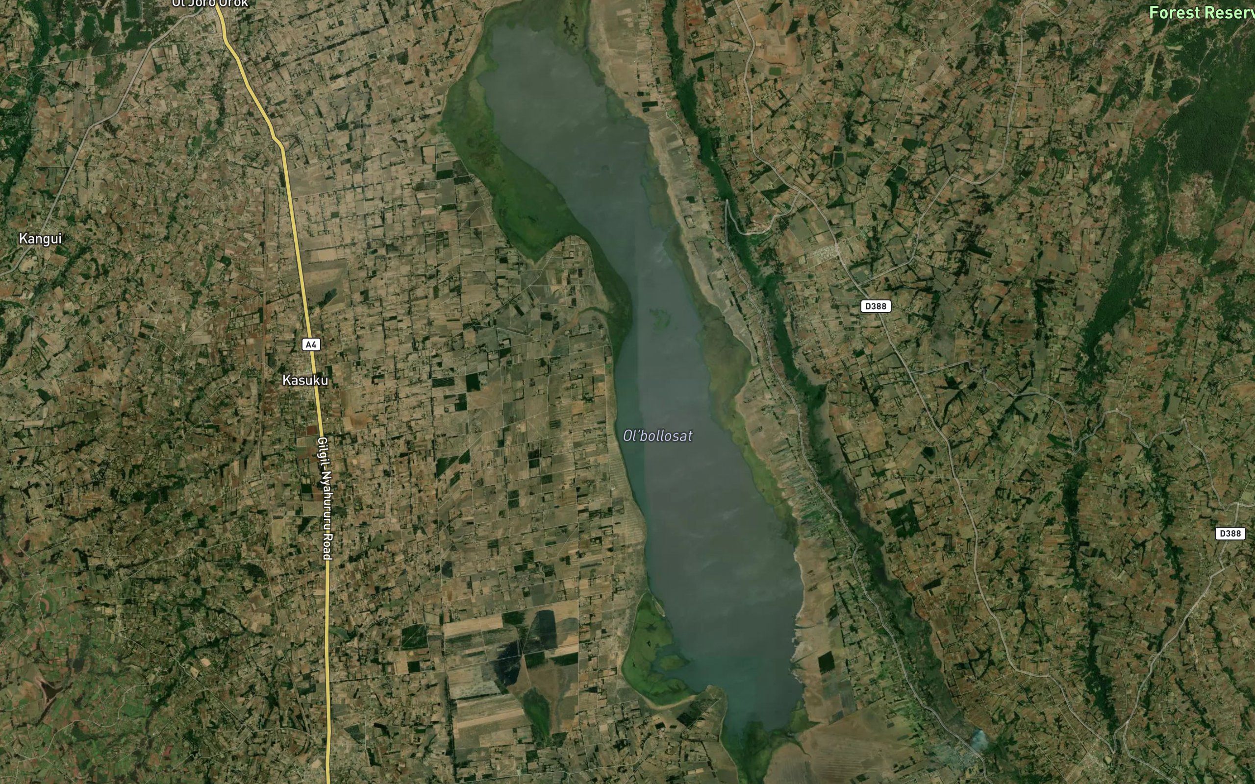 Lake Ol Bolossat