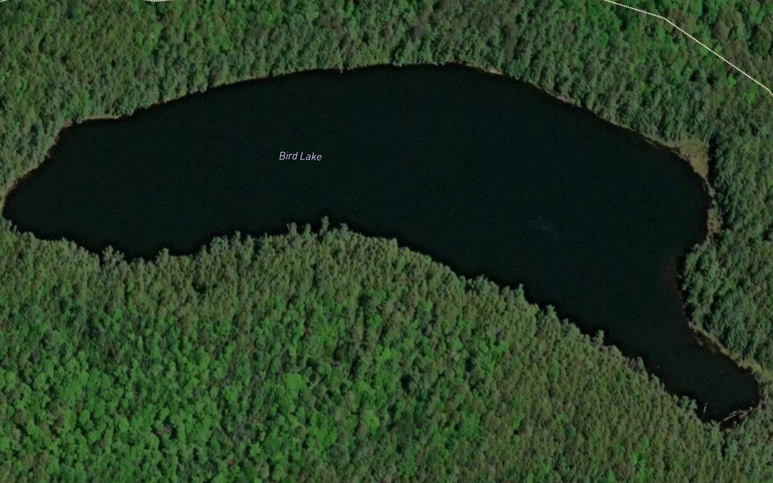 Bird Lake