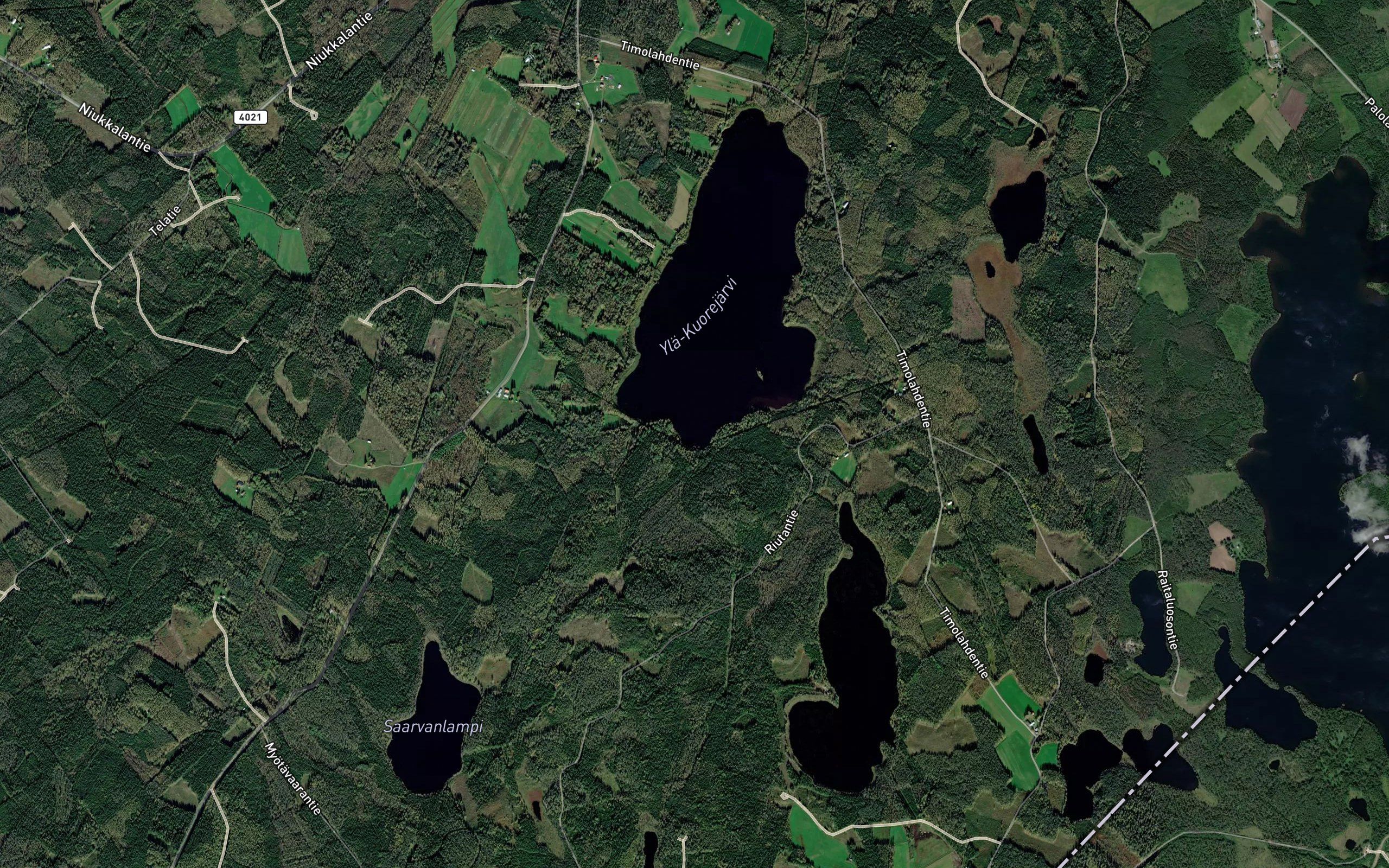 Riutta