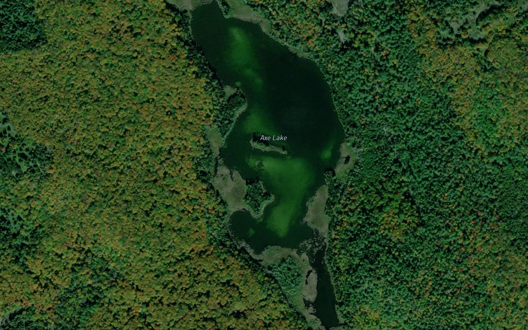 Satellite map of the Axe Lake