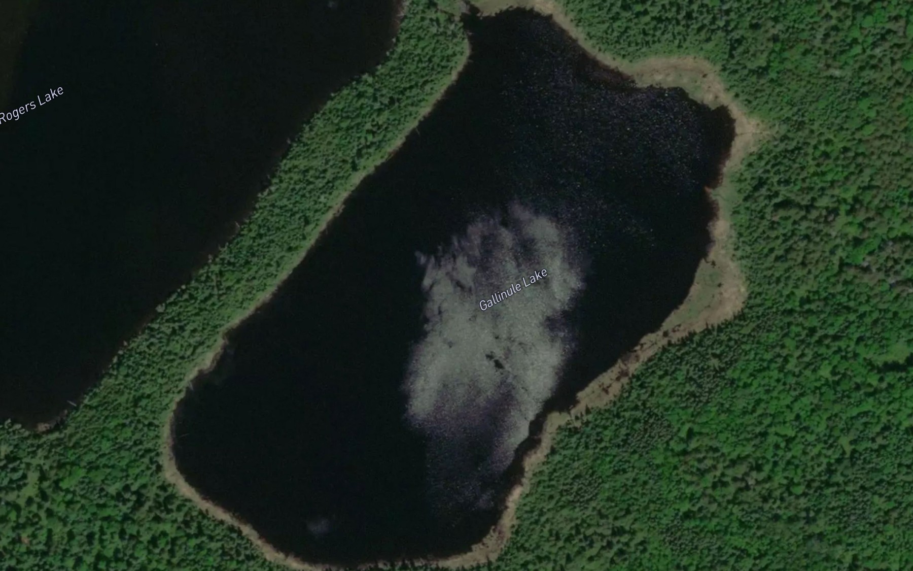 Satellite map of the Gallinule Lake