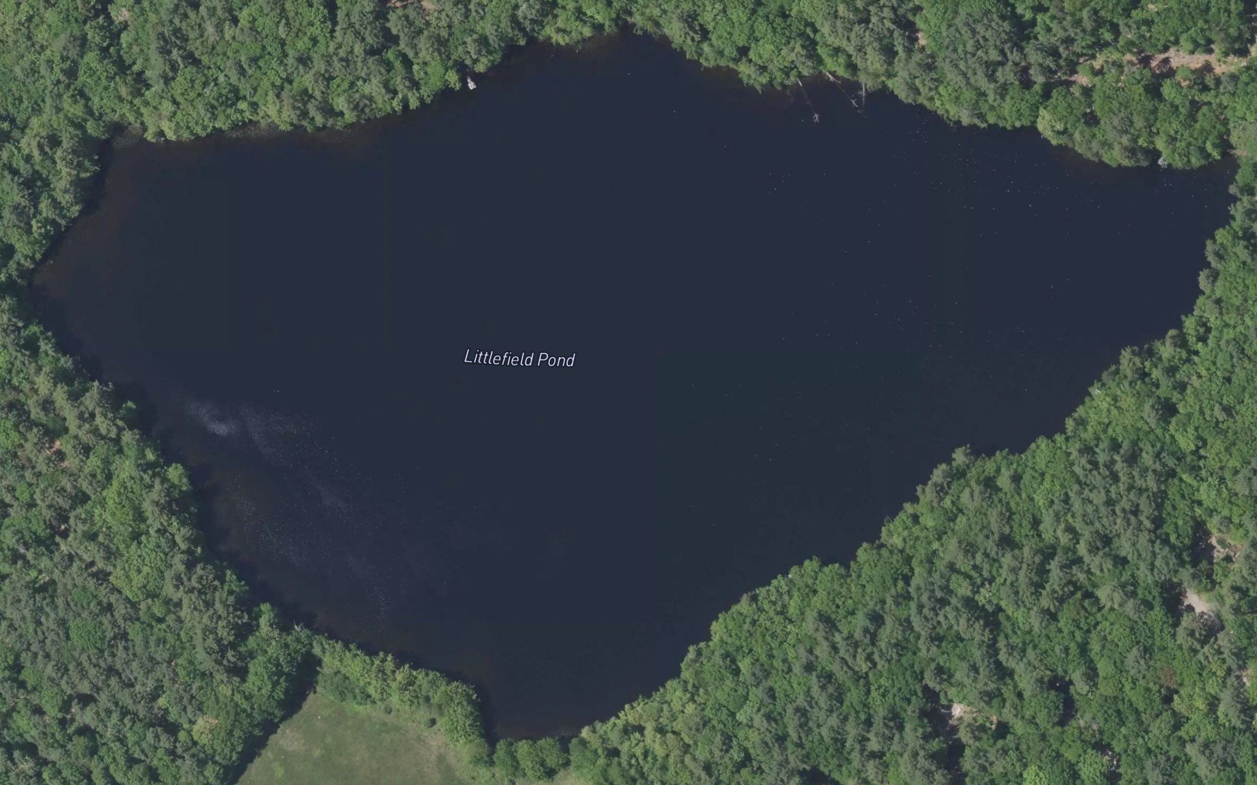 Littlefield Pond