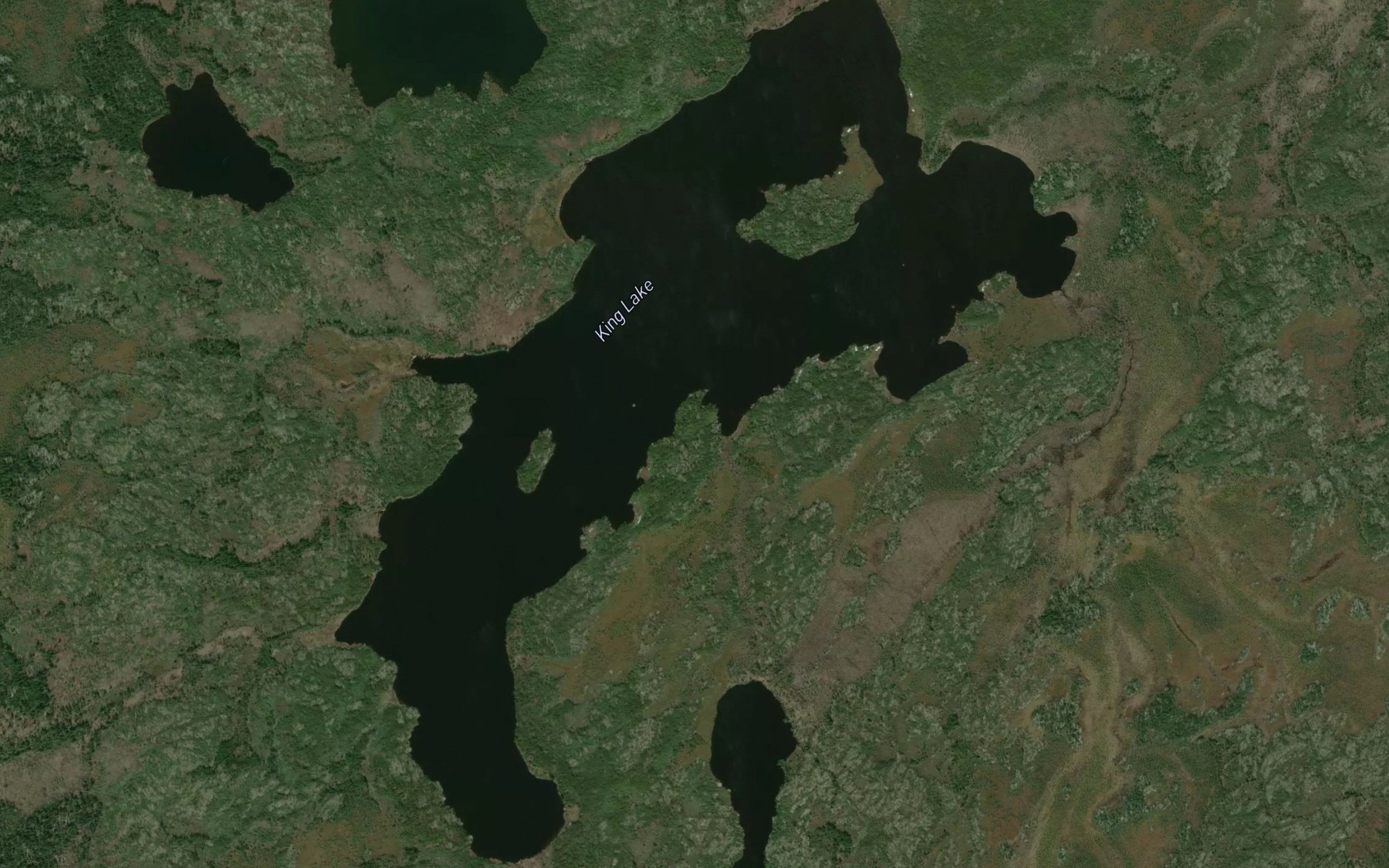 Satellite map of the King Lake