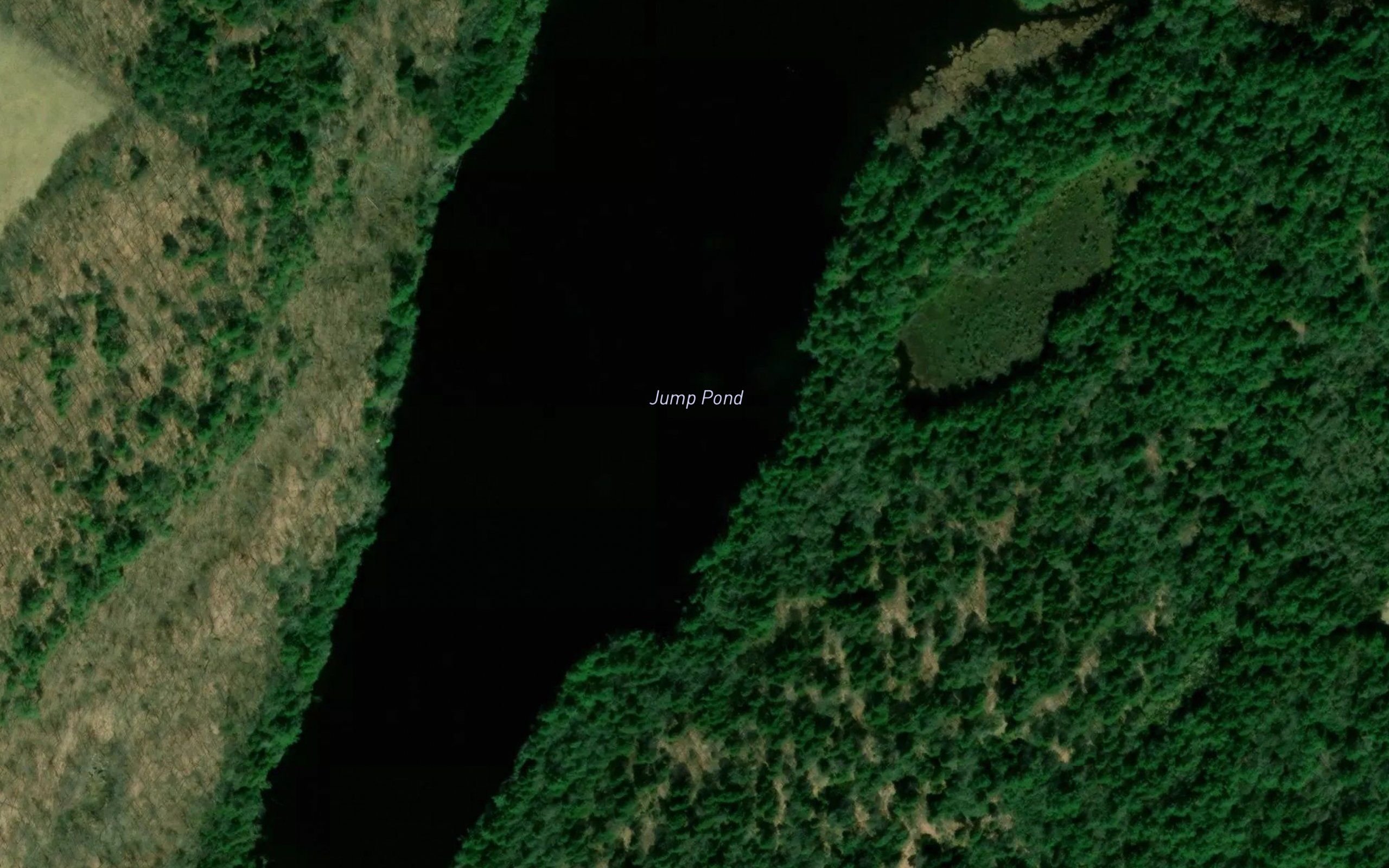 Jump Pond