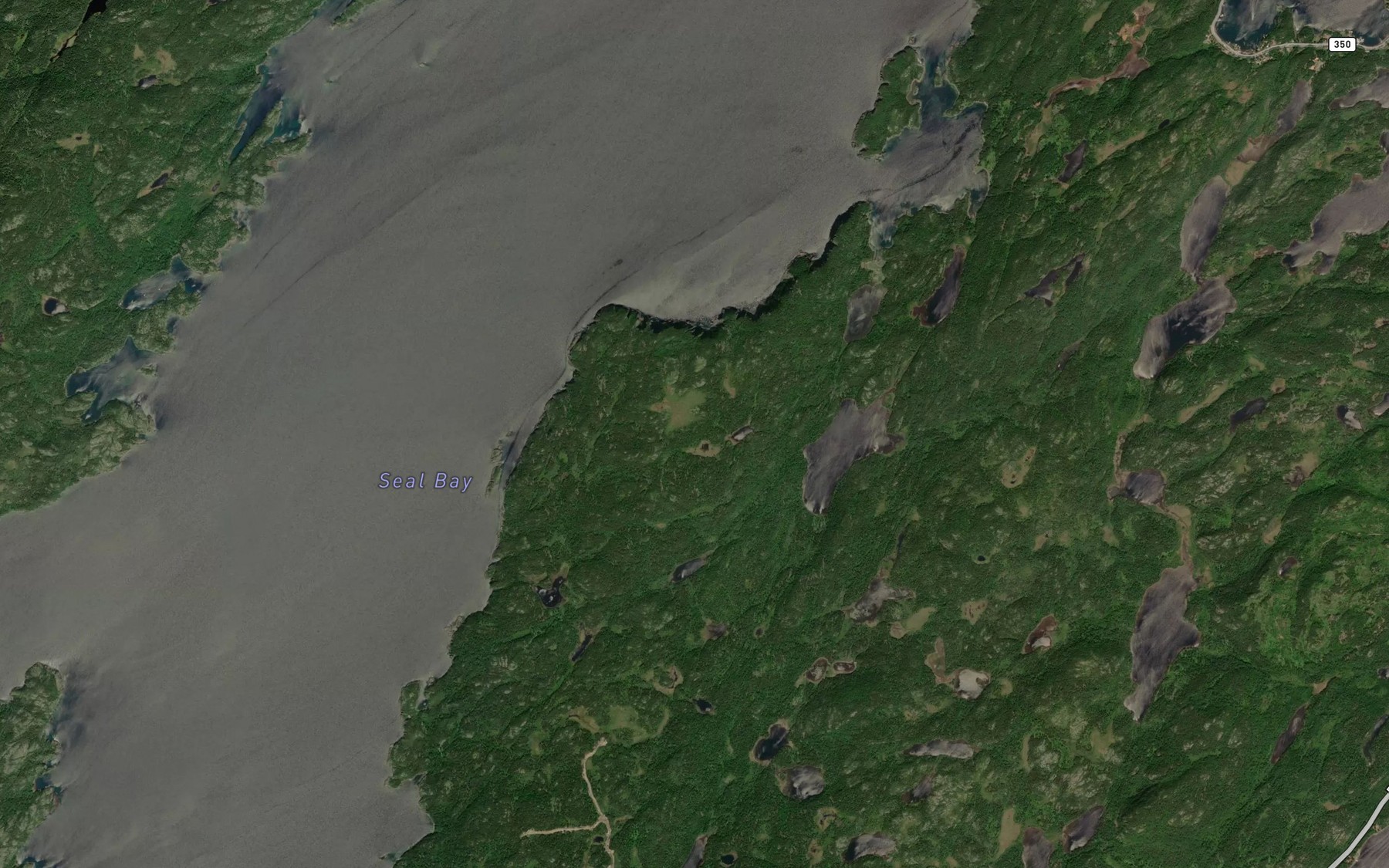 Satellite map of the Seal Bay