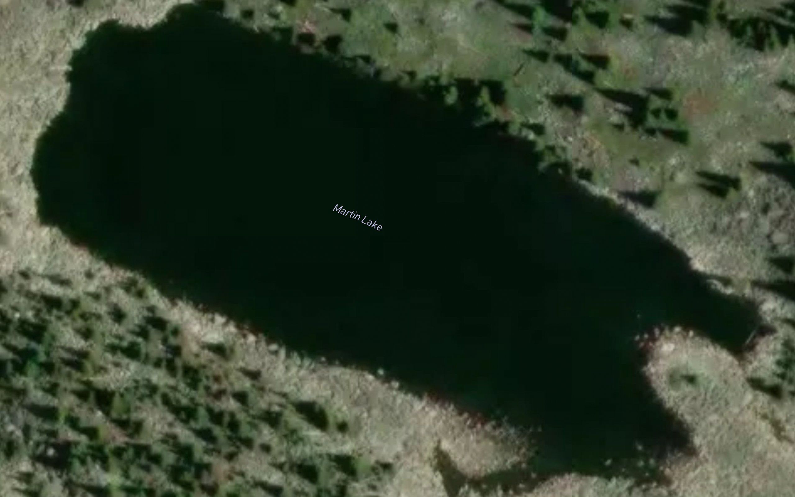 Martin Lake