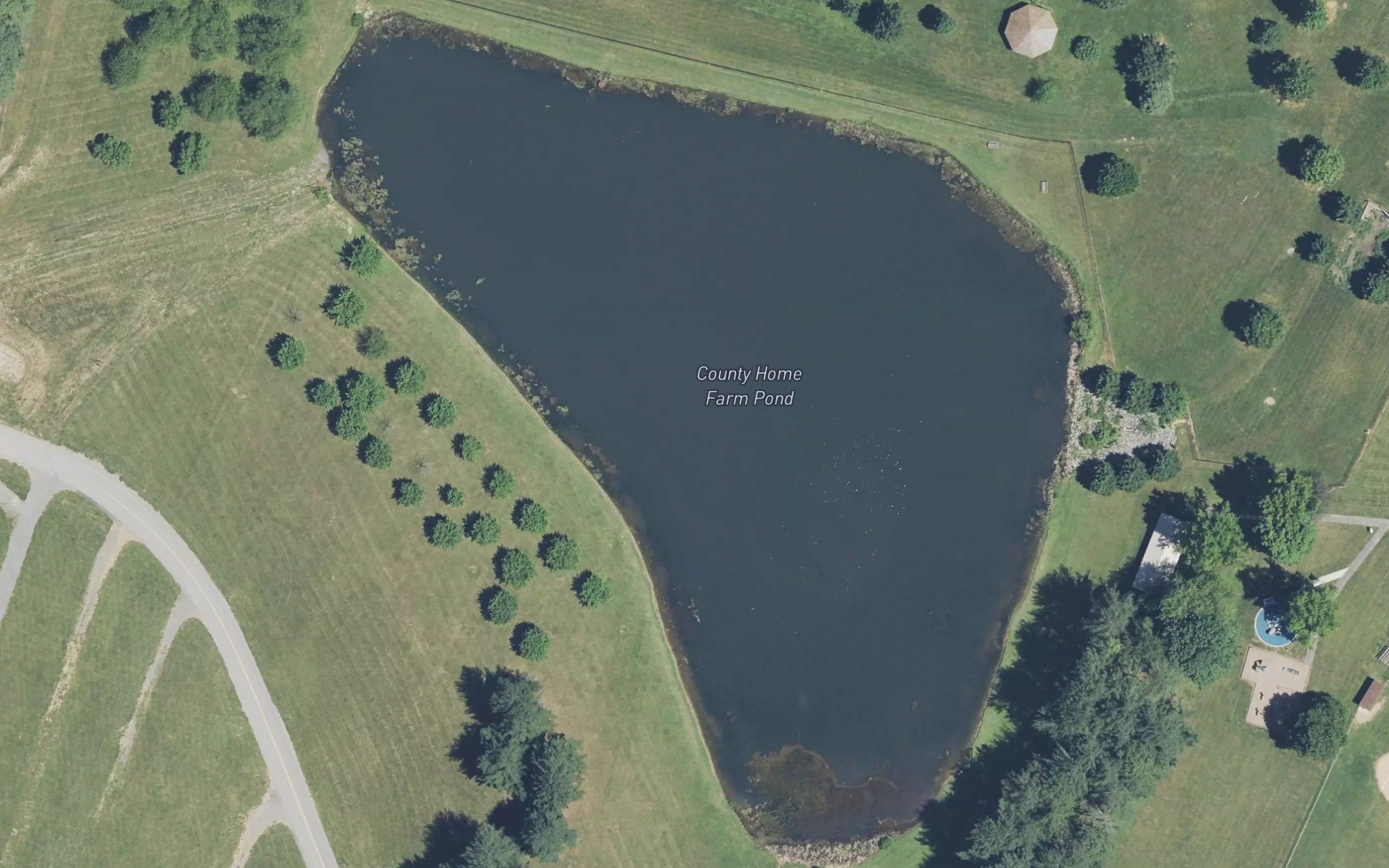 County Home Farm Pond