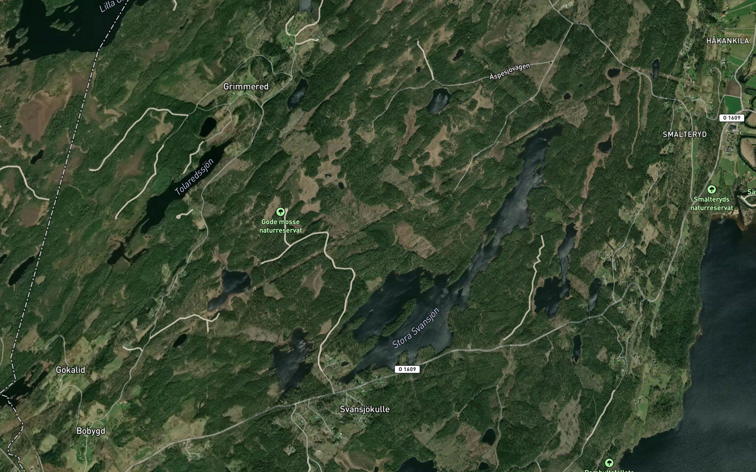 Stora Svansjon