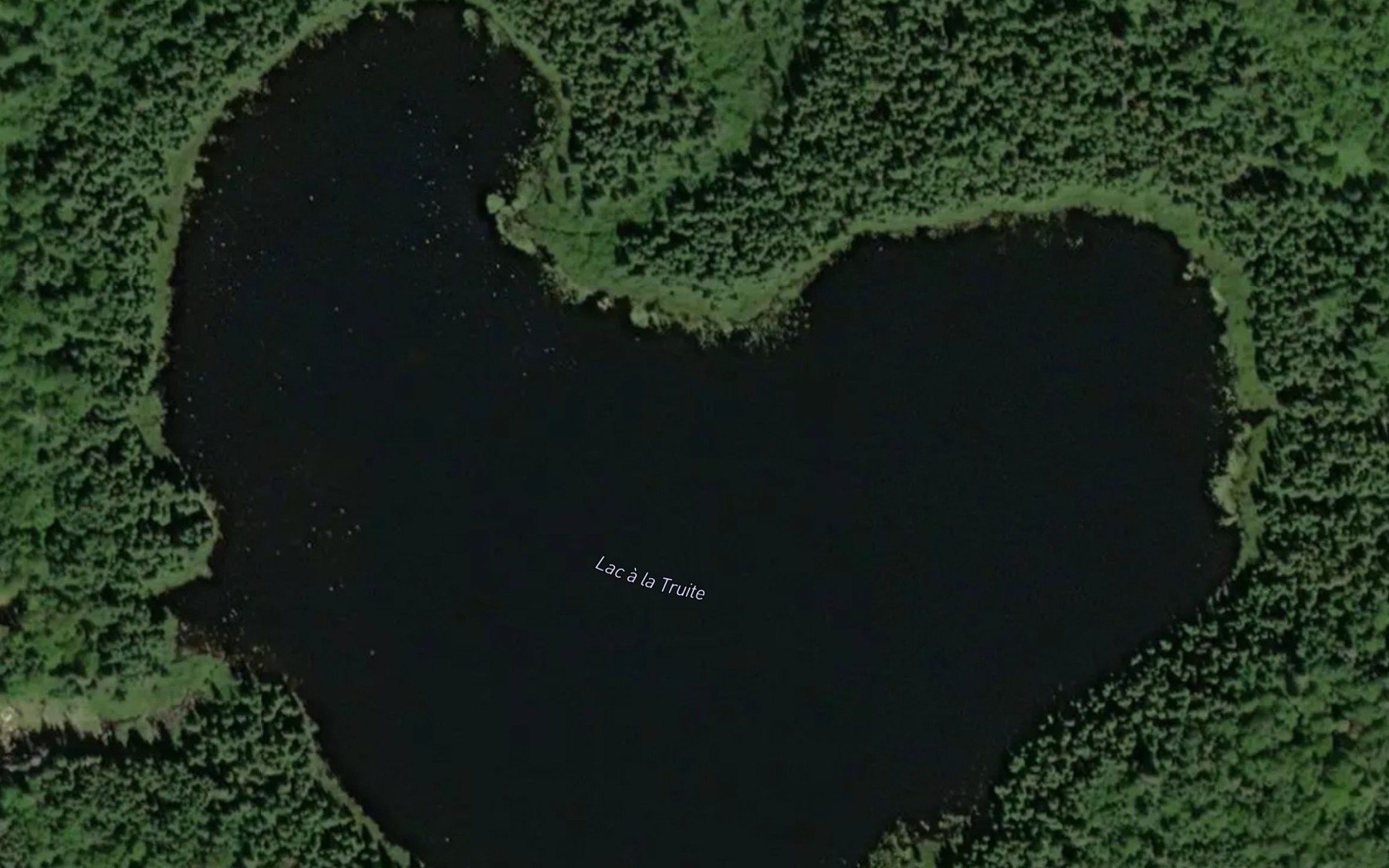 Satellite map of the Lac a la Truite