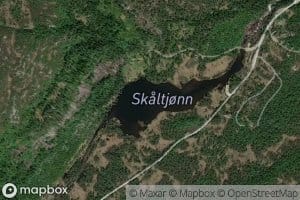 Skaltjorn