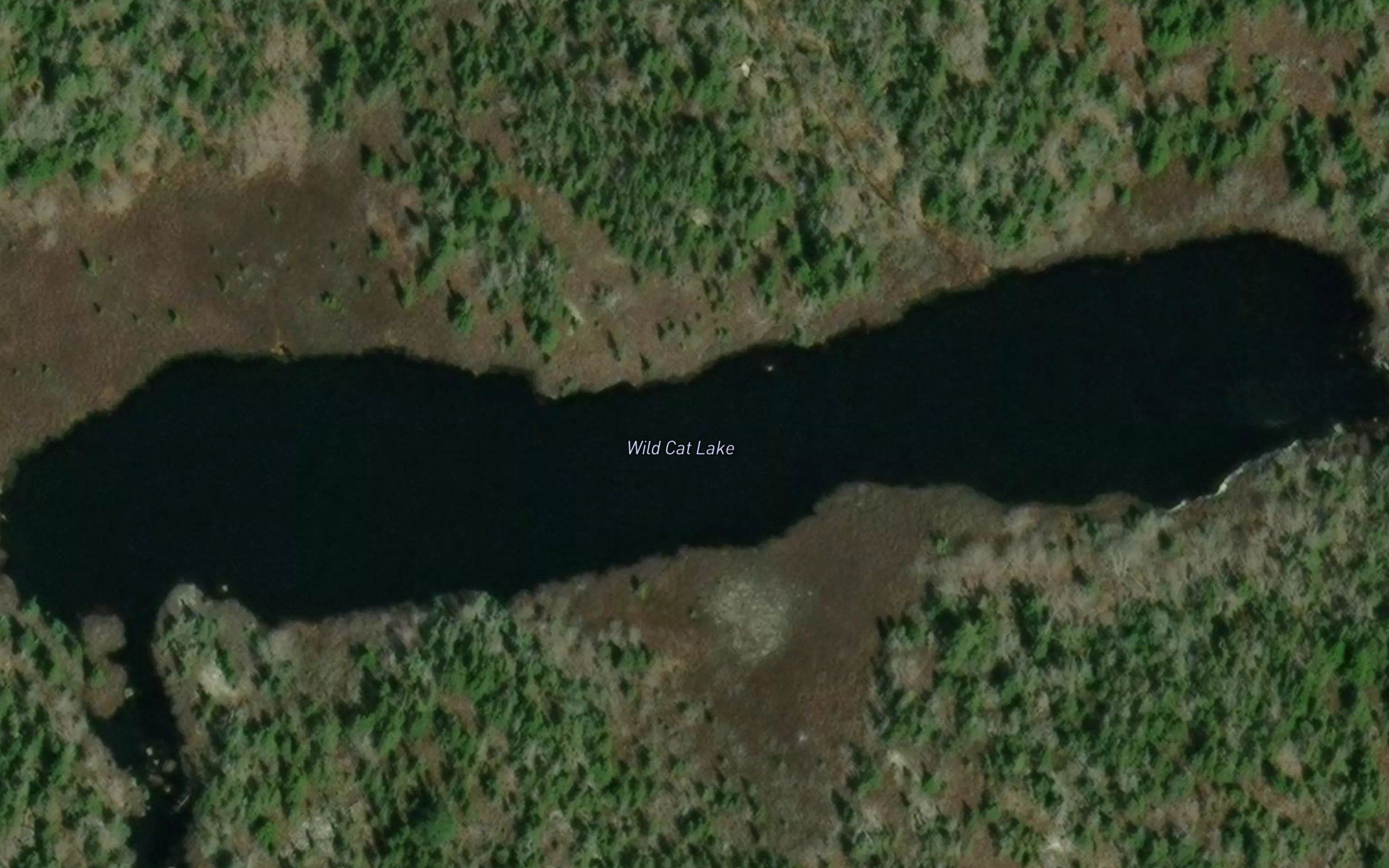 Wild Cat Lake