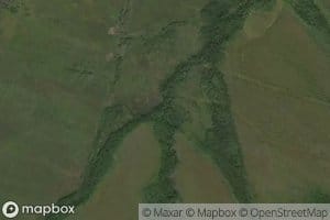 Bol'shoy Solontsovyy