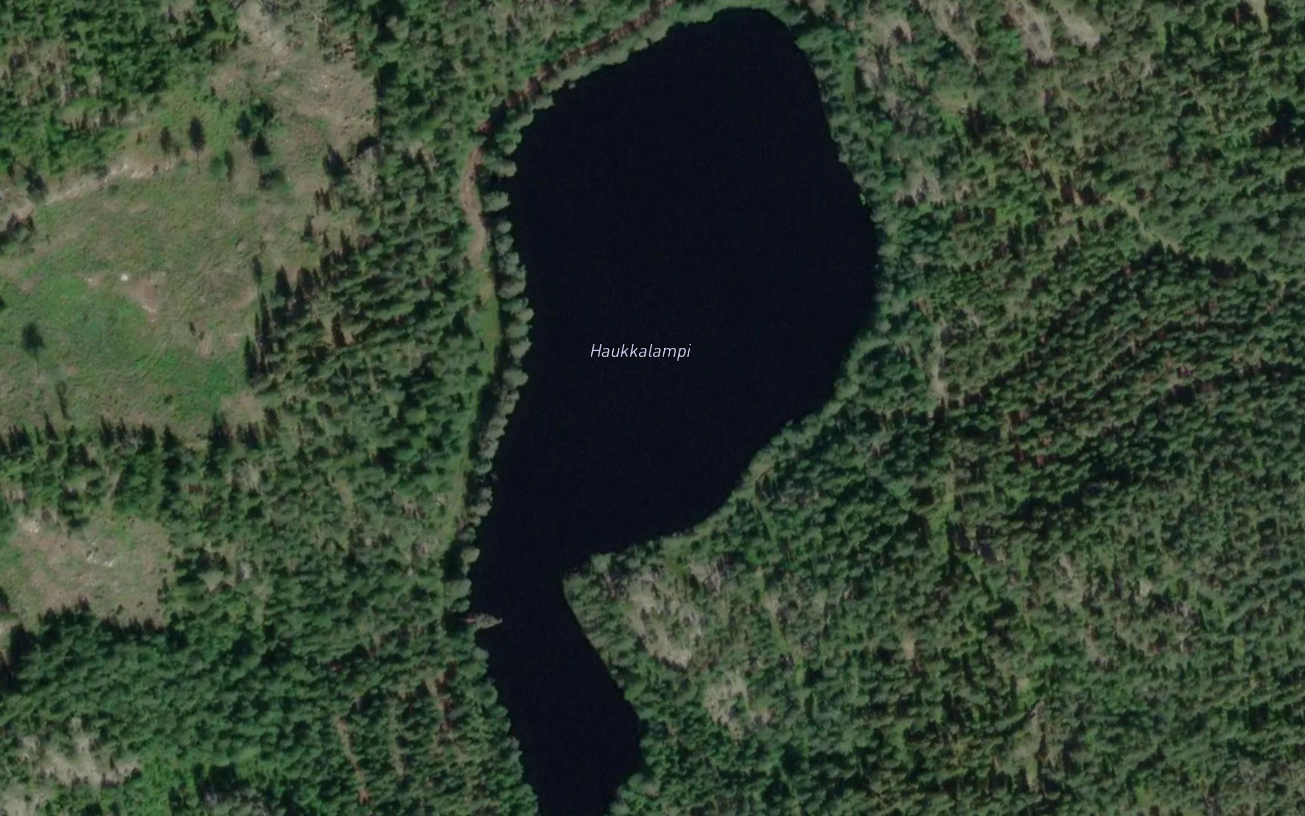 Haukkalampi