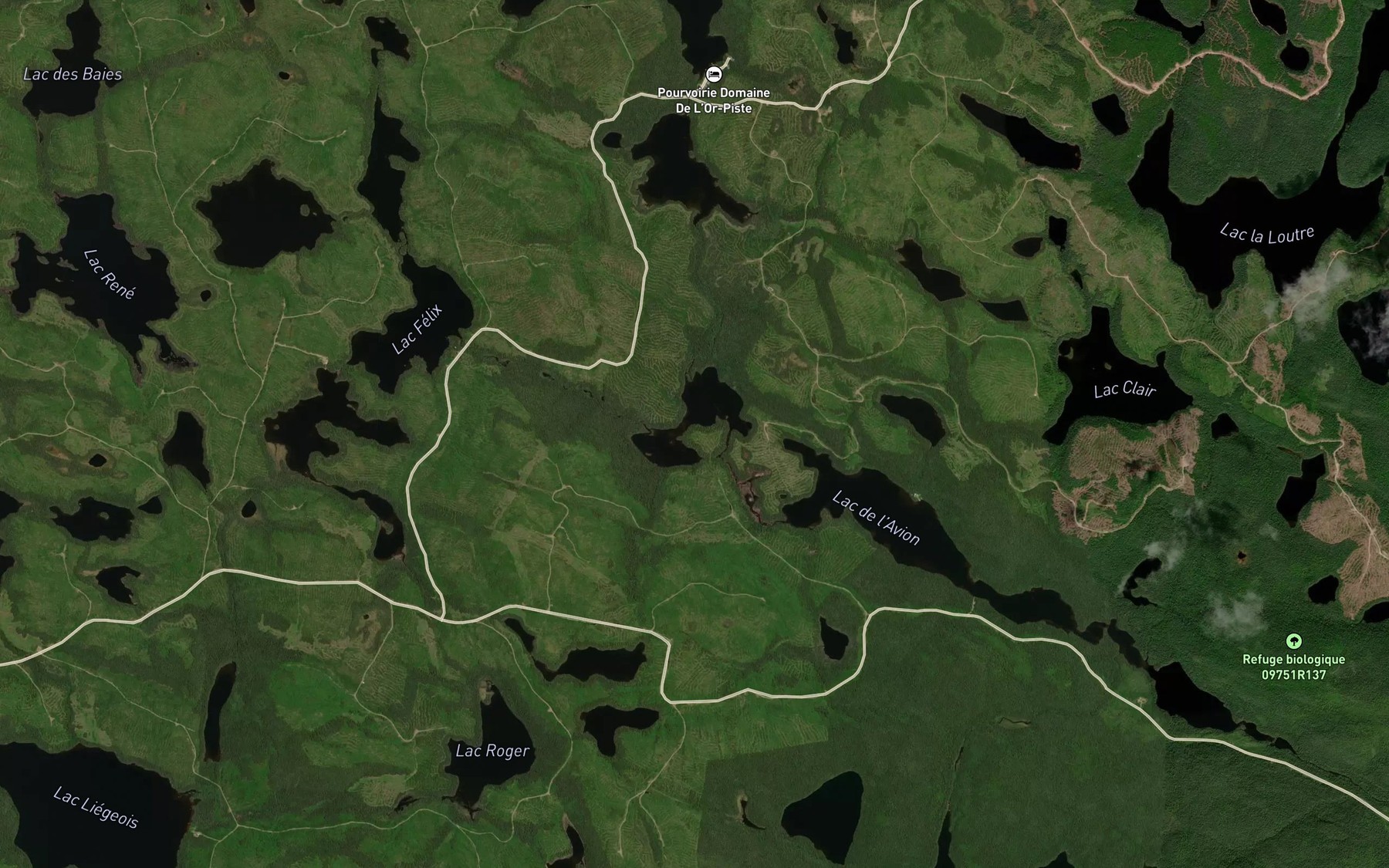 Satellite map of the Lac des Pies
