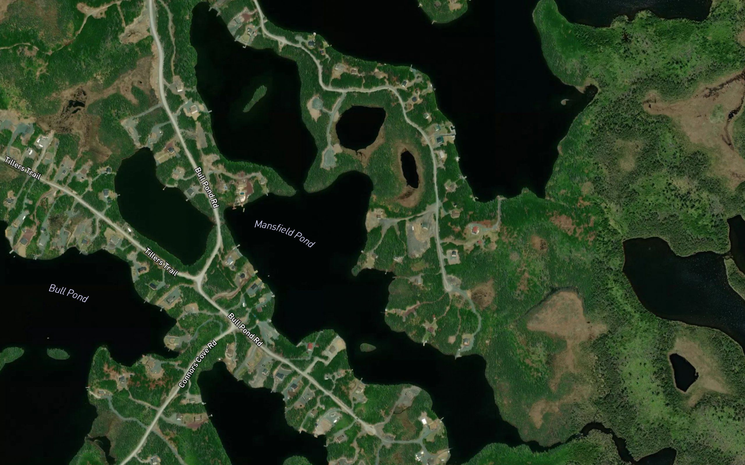 Mansfield Pond