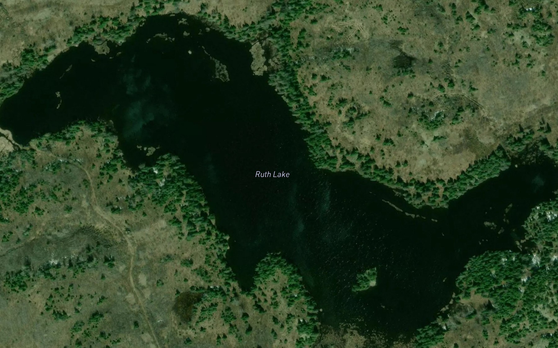 Satellite map of the Ruth Lake