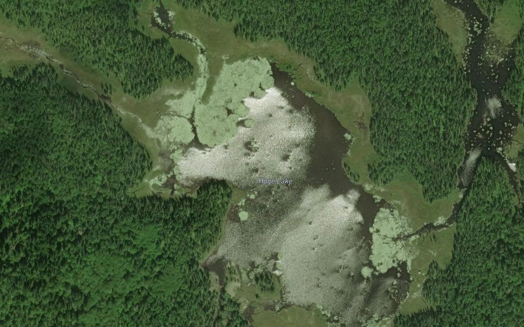 Satellite map of the Huge Lake
