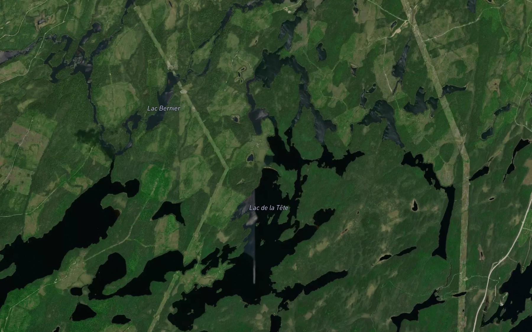 Satellite map of the Lac de la Tete
