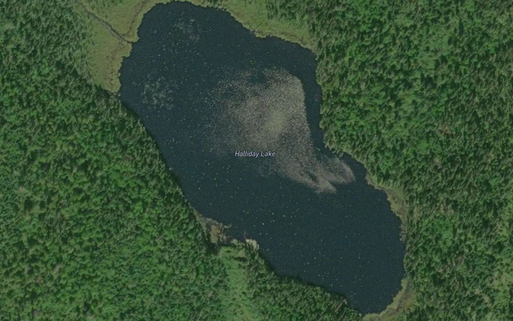 Satellite map of the Halliday Lake