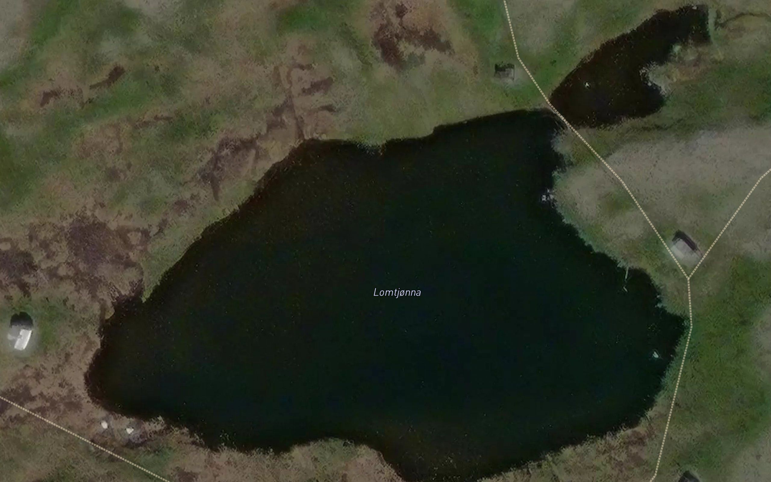 Lomtjonna