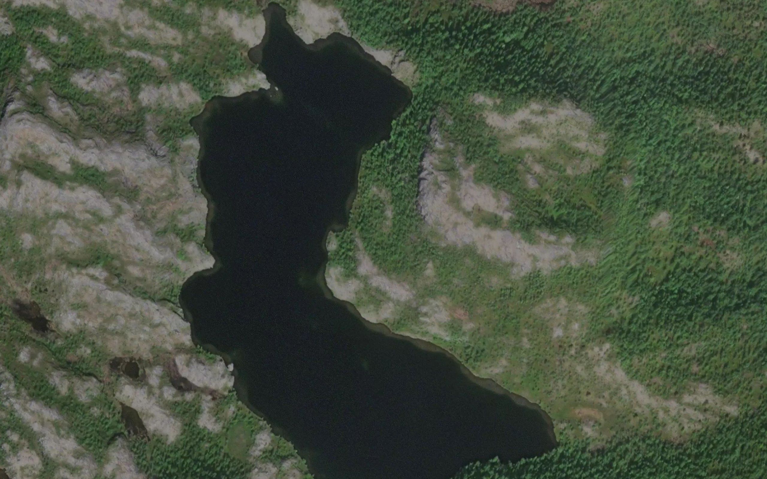 Alggasvuovdejavri