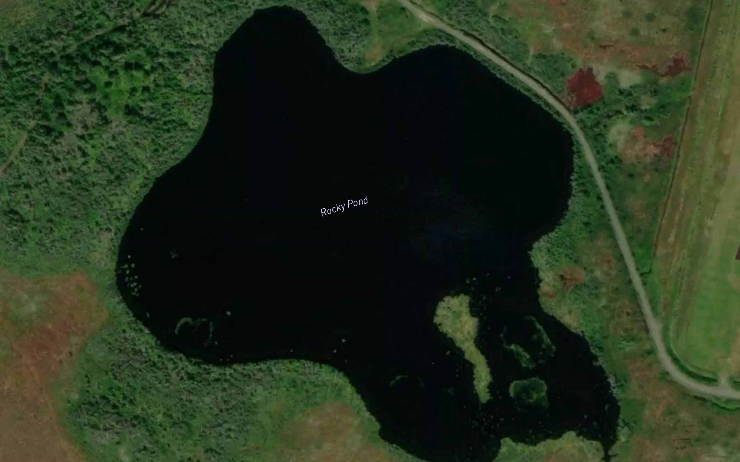 Rocky Pond