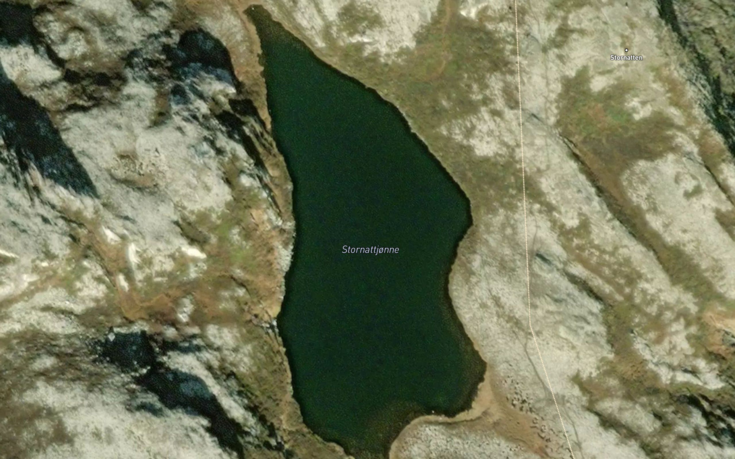 Stornattjorni