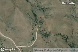 Newts Waterhole