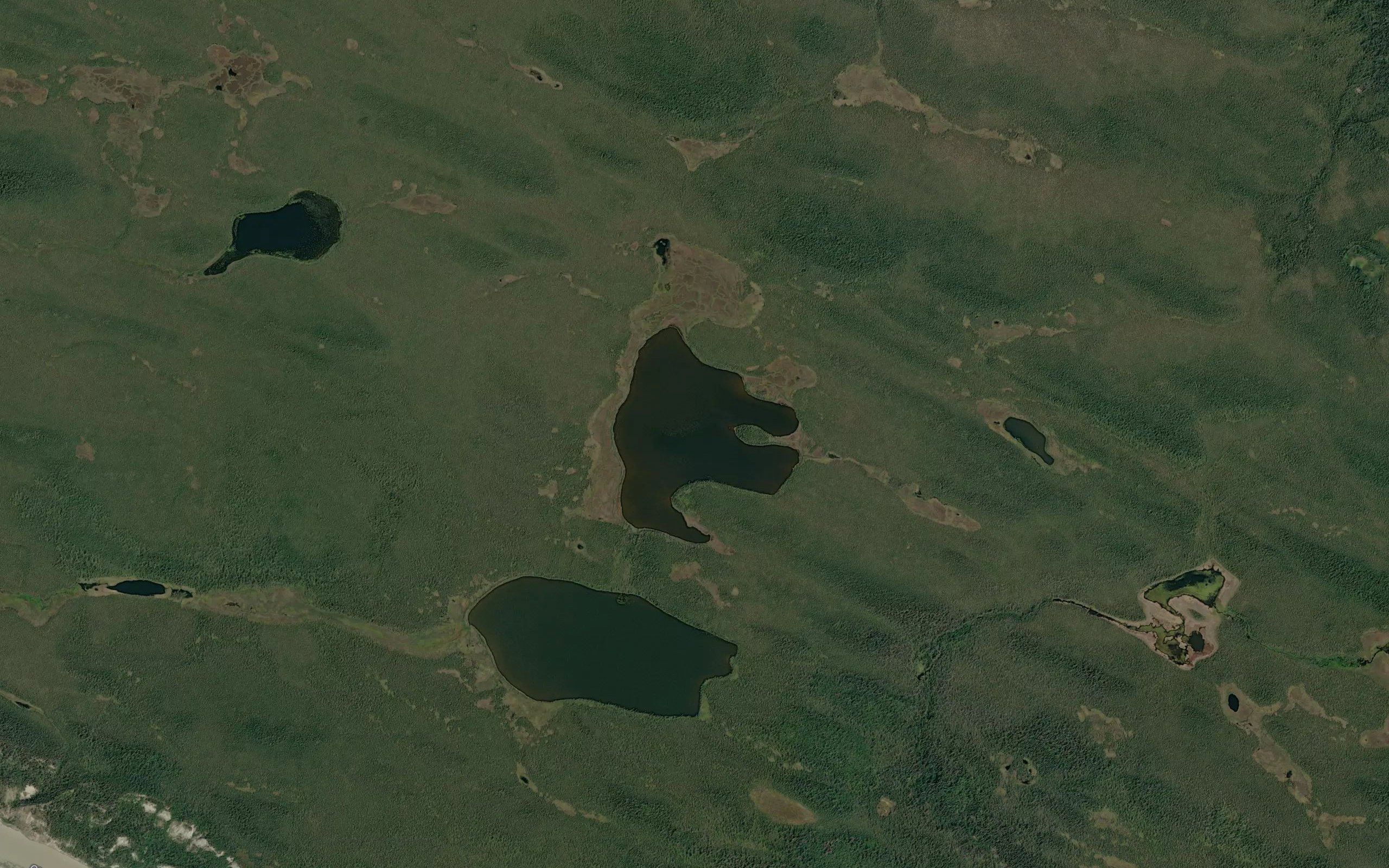 Camel Lake