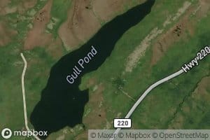 Gull Pond